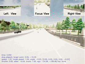 Autonomous Driving